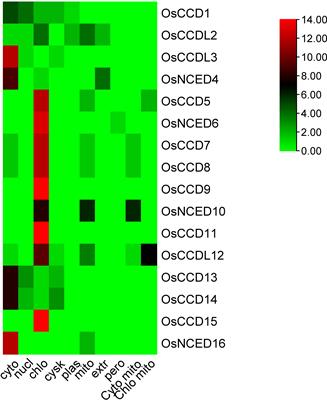 Genome-wide identification and in-silico expression analysis of carotenoid cleavage oxygenases gene family in Oryza sativa (rice) in response to abiotic stress